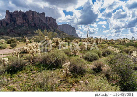 スーパースティションマウンテン 　アメリカ アリゾナ州 136489081