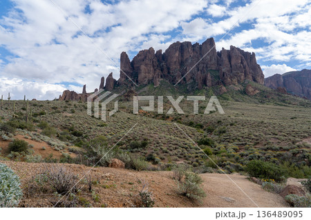 スーパースティションマウンテン 　アメリカ アリゾナ州 136489095