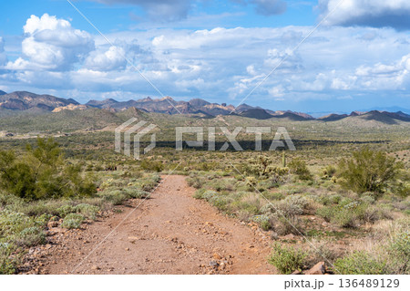 スーパースティションマウンテン 　アメリカ アリゾナ州 136489129