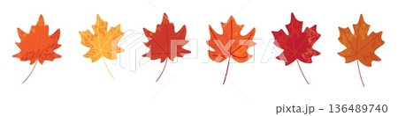Set of colorful maple leaves in autumn shades of red orange and yellow isolated on white background flat seasonal foliage illustration Set of colorful maple leaves in autumn shades of red orange and yellow isolated on white background flat seasonal foliage illustration 136489740