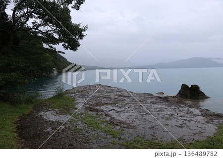 雨の日の田沢湖の湖畔にある御座石神社、秋田県、東北 雨の日の田沢湖の湖畔にある御座石神社、秋田県、東北 136489782