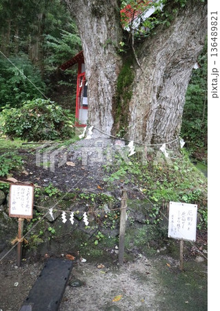 雨の日の田沢湖の湖畔にある御座石神社、秋田県、東北 雨の日の田沢湖の湖畔にある御座石神社、秋田県、東北 136489821