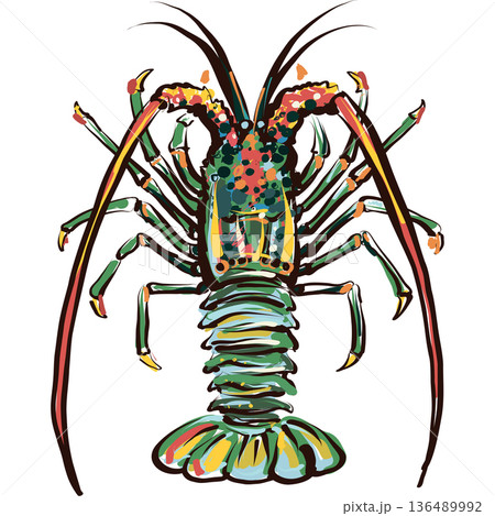 Expressive Spiny Lobster Illustration Hand Drawn Seafood Vector 136489992