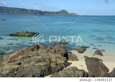 打田原海岸　奄美大島 136491115