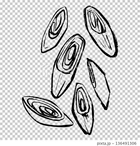 Diagonally sliced green onion - line drawing illustration 136491306