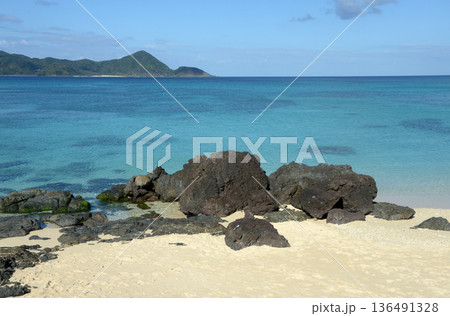打田原海岸　奄美大島 136491328
