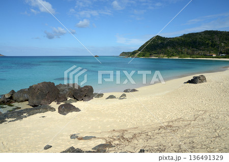 打田原海岸　奄美大島 136491329