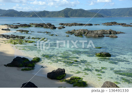 打田原海岸　奄美大島 136491330