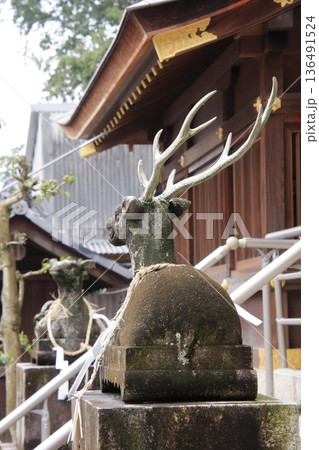 滋賀県草津市の桜の名所 立木神社 滋賀県草津市の桜の名所 立木神社 136491524