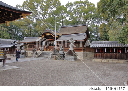 滋賀県草津市の桜の名所　立木神社 136491527