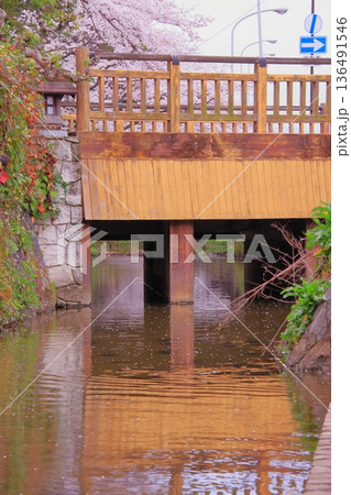 滋賀県草津市の桜の名所 立木神社 滋賀県草津市の桜の名所 立木神社 136491546