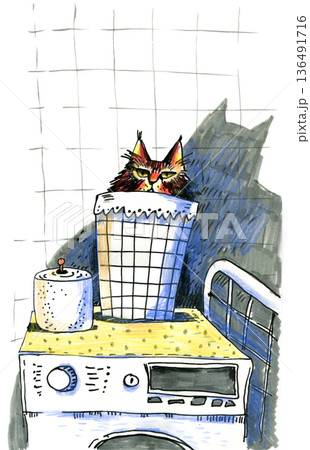 Cat Peeking From Laundry Basket Cat Peeking From Laundry Basket 136491716