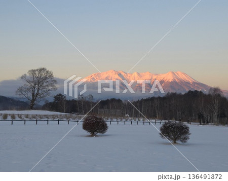 信州・紅御嶽山(御岳山) 信州・紅御嶽山(御岳山) 136491872