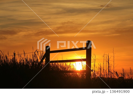 Kansas Farm Fence silhouette at Sunset with the Sun and clouds Kansas Farm Fence silhouette at Sunset with the Sun and clouds 136491900