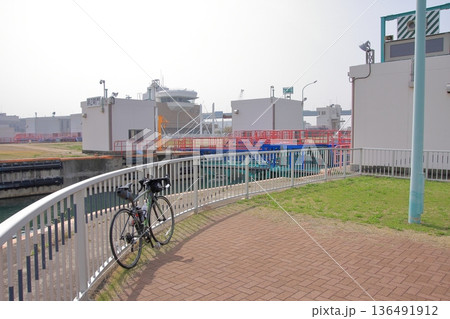 兵庫県尼崎市　尼崎閘門　尼ロックの桜風景 136491912