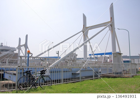 兵庫県尼崎市　尼崎閘門　尼ロックの桜風景 136491931