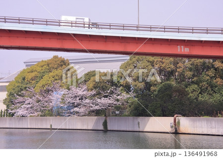 兵庫県尼崎市 尼崎閘門 尼ロックの桜風景 兵庫県尼崎市 尼崎閘門 尼ロックの桜風景 136491968
