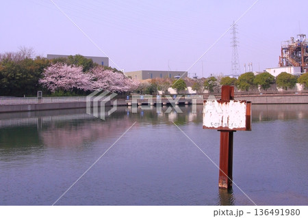 兵庫県尼崎市 尼崎閘門 尼ロックの桜風景 兵庫県尼崎市 尼崎閘門 尼ロックの桜風景 136491980