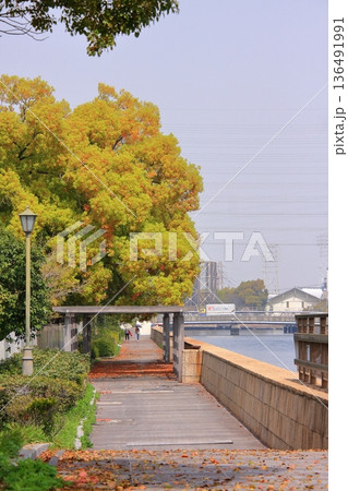 兵庫県尼崎市　尼崎閘門　尼ロックの桜風景 136491991