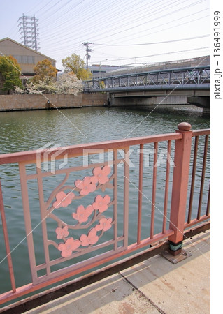 兵庫県尼崎市　尼崎閘門　尼ロックの桜風景 136491999