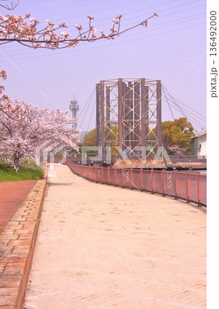 兵庫県尼崎市　尼崎閘門　尼ロックの桜風景 136492000