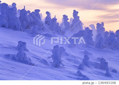 西吾妻山の樹氷 136493106