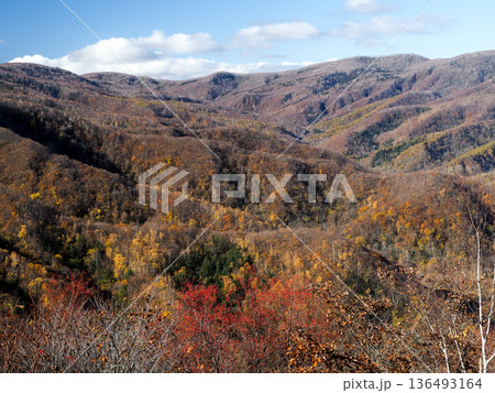 展望台から見る山並みの秋 展望台から見る山並みの秋 136493164