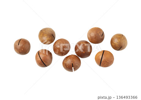 Collection of macadamia nuts placed on a clean surface, PNG Collection of macadamia nuts placed on a clean surface, PNG 136493366