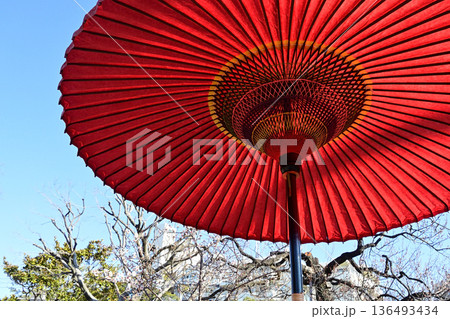 赤い傘、向島百花園にて 136493434