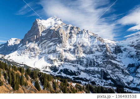 Wetterhorn Mountain in Winter. Switzerland 136493538