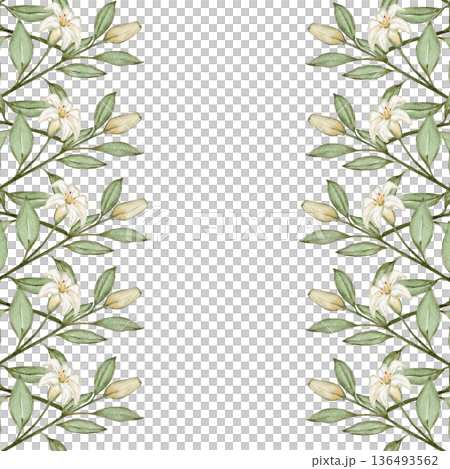 Vertical floral border with white lilies and green foliage in soft watercolor style on light background, elegant botanical frame with spacious center ideal for greeting cards, posters, church programs Vertical floral border with white lilies and green foliage in soft watercolor style on light background, elegant botanical frame with spacious center ideal for greeting cards, posters, church programs 136493562