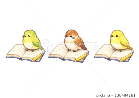 読書する小鳥 セット 水彩風 勉強 鳥 イラスト 切り抜き素材 136494161