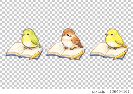 閱讀鳥類套裝，水彩風格，學習，鳥類插圖，剪紙材料 136494161