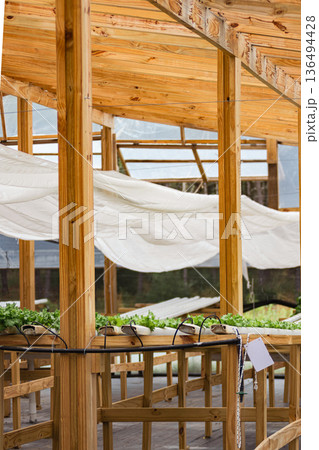 Growing fresh organic vegetables and healthy food with efficient agricultural technology. Growing fresh organic vegetables and healthy food with efficient agricultural technology. 136494428