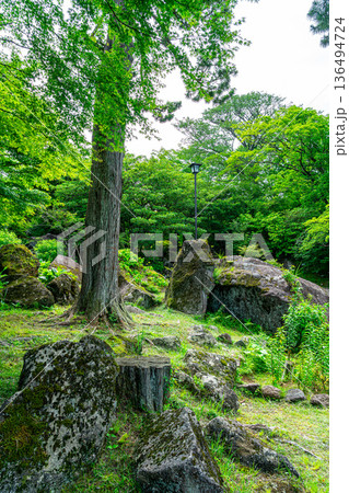 【神奈川県】豊かな自然に恵まれた箱根の強羅公園 【神奈川県】豊かな自然に恵まれた箱根の強羅公園 136494724
