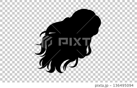 科瑪·貝雷妮絲的頭髮輪廓插圖 136495094