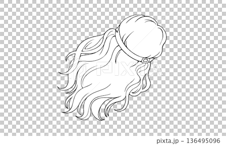 かみのけ座の髪の線画イラスト 136495096