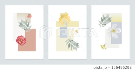 Botany poster template design, various flowers and leaves with geometric shapes Botany poster template design, various flowers and leaves with geometric shapes 136496298