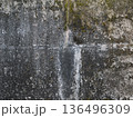 苔の生えたブロック塀 136496309