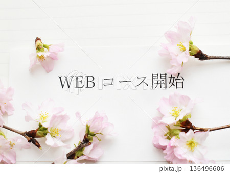 WEBコース開始の告知文字と啓翁桜 136496606