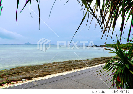 備瀬崎海岸・備瀬海岸（沖縄県・本部町） 136496737