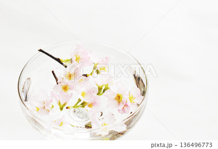 水面に浮かぶ啓翁桜のクローズアップ 水面に浮かぶ啓翁桜のクローズアップ 136496773