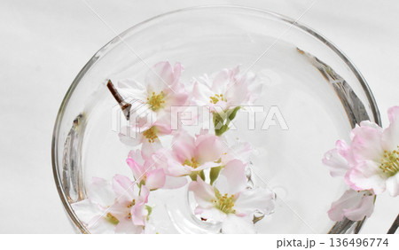 水面に浮かぶ啓翁桜のクローズアップ 水面に浮かぶ啓翁桜のクローズアップ 136496774