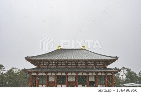 天平の威容!興福寺中金堂の正面姿 天平の威容!興福寺中金堂の正面姿 136496950