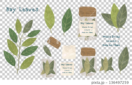 ローリエと月桂樹の枝葉・瓶詰めスパイスの手描きイラストセット 136497259