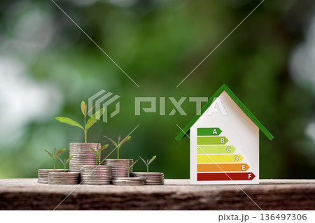 Trees growing on piles of money and energy saving charts in model homes; residential energy efficiency assessment and energy saving concepts for green energy conservation; energy efficiency in homes. 136497306