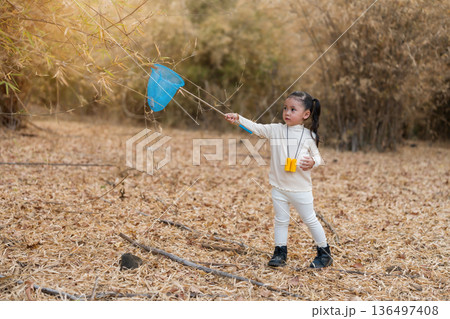 Little child girl holding blue butterfly net exploring the dry forest 136497408