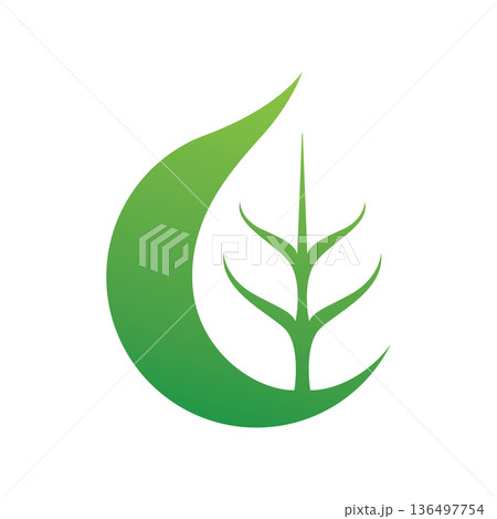 Modern eco leaf vector logo 136497754
