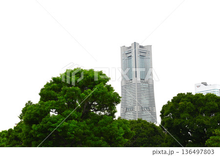 みなとみらい ランドマークタワーの景色 みなとみらい ランドマークタワーの景色 136497803
