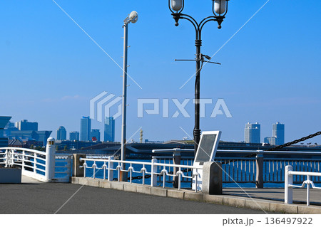 横浜　山下公園の景色 136497922